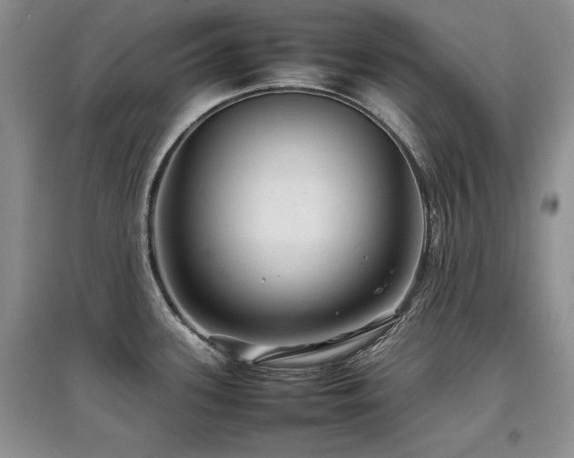 X0000097841339200803141159