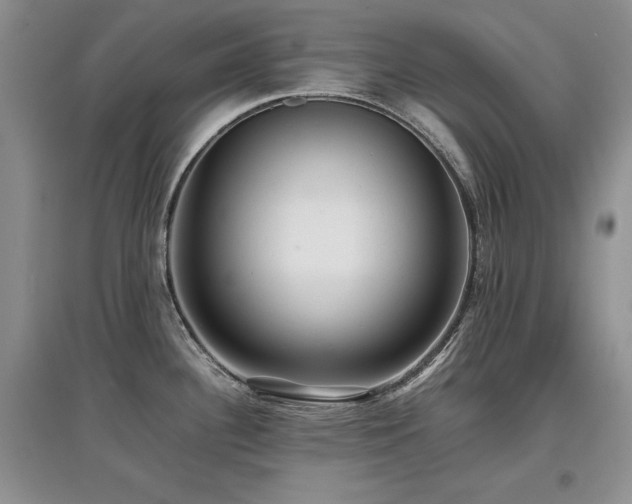 X0000097841340200803141159
