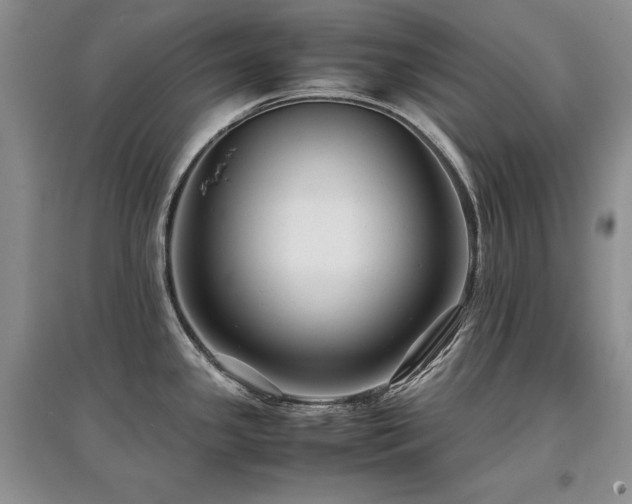 X0000097841341200803141159
