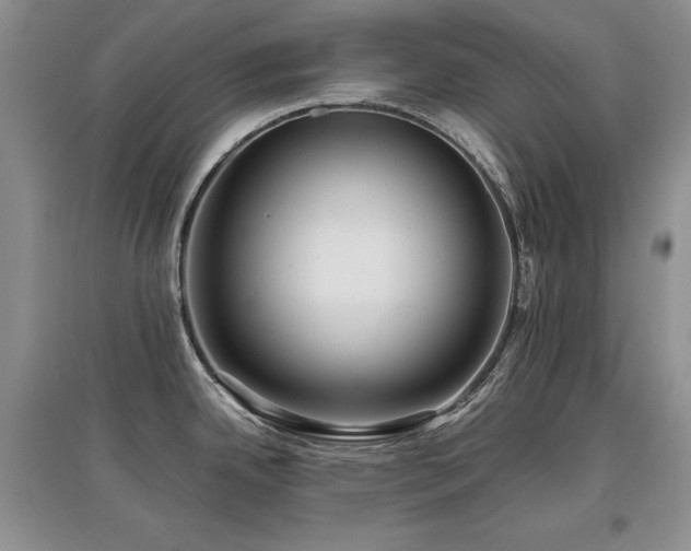 X0000097841342200803141159