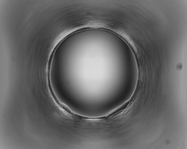 X0000097841343200803141159