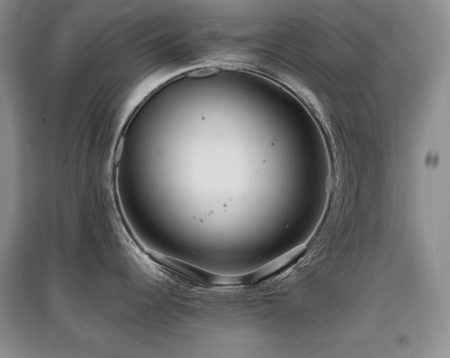 X0000097841344200803141159