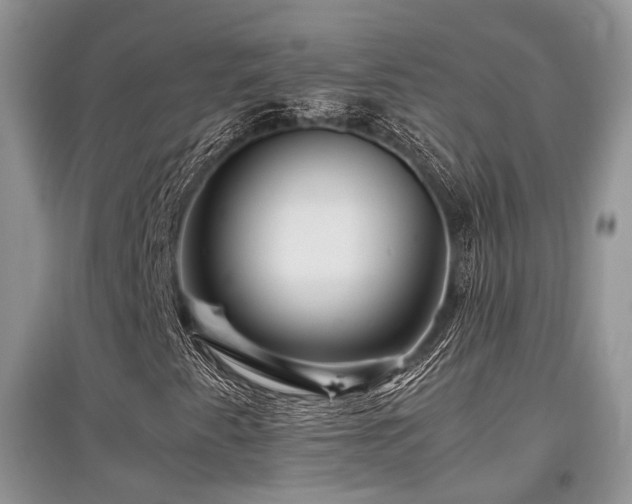 X0000097841345200803141159
