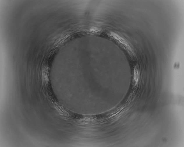 X0000097841346200803141159