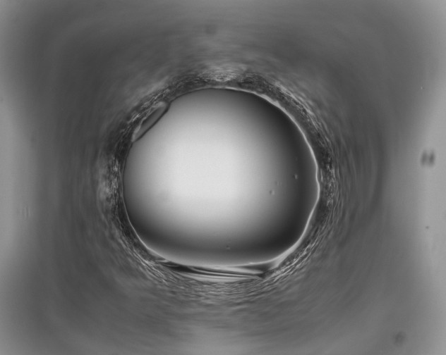 X0000097841349200803141159
