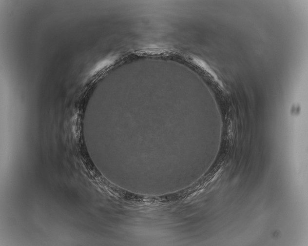X0000097841350200803141159
