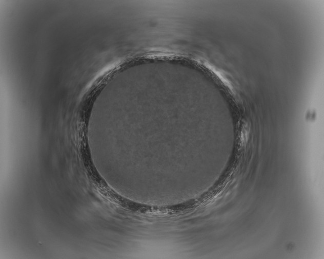 X0000097841351200803141159