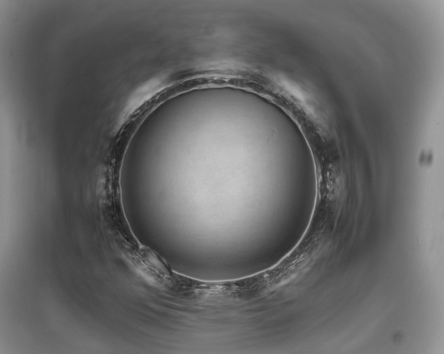 X0000097841352200803141159