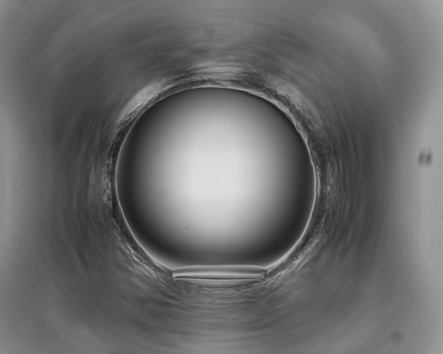 X0000097841354200803141158