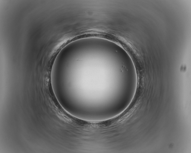 X0000097841355200803141158