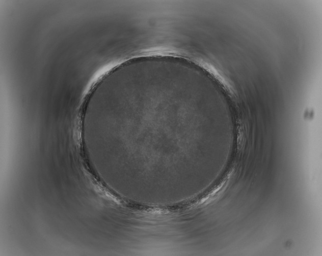 X0000097841358200803141158