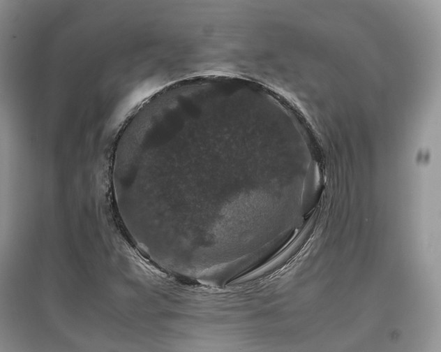 X0000097841359200803141158
