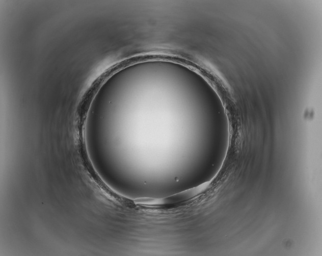 X0000097841360200803141158