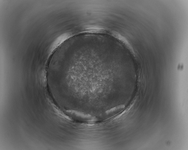 X0000097841362200803141158