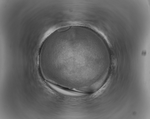 X0000097841365200803141158