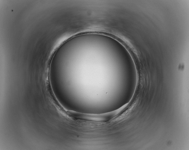 X0000097841366200803141158