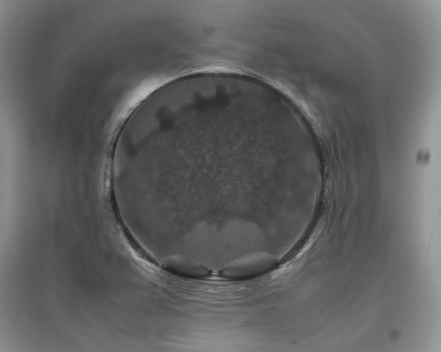 X0000097841367200803141158