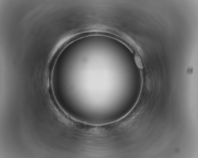 X0000097841368200803141158