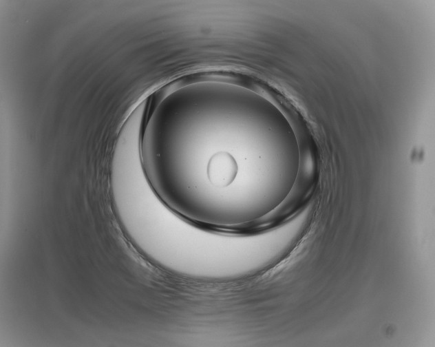 X0000097841369200803141158