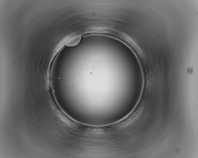 X0000097841370200803141158