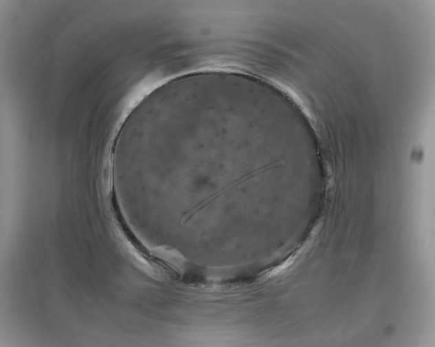 X0000097841371200803141158