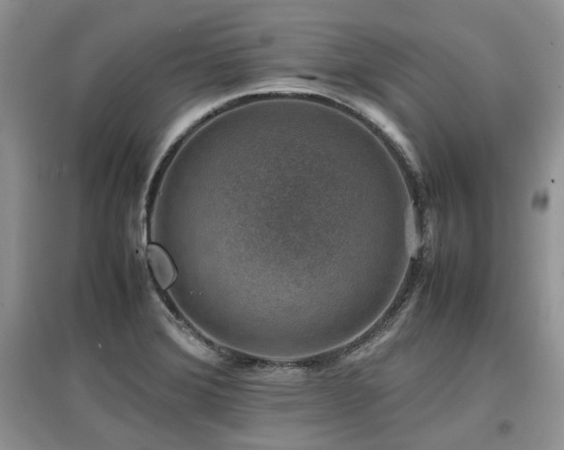 X0000097841372200803141158
