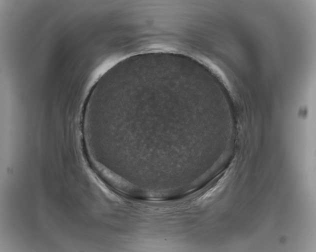 X0000097841373200803141158