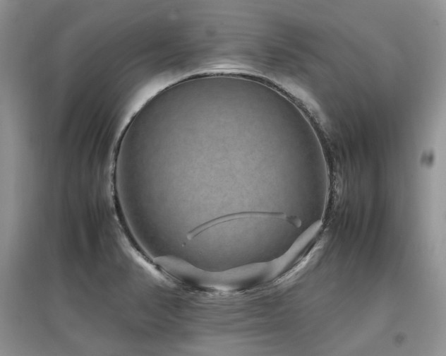 X0000097841374200803141158