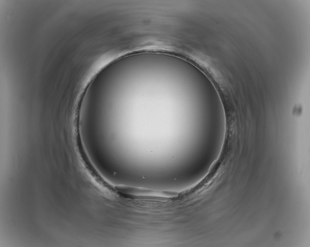 X0000097841375200803141158