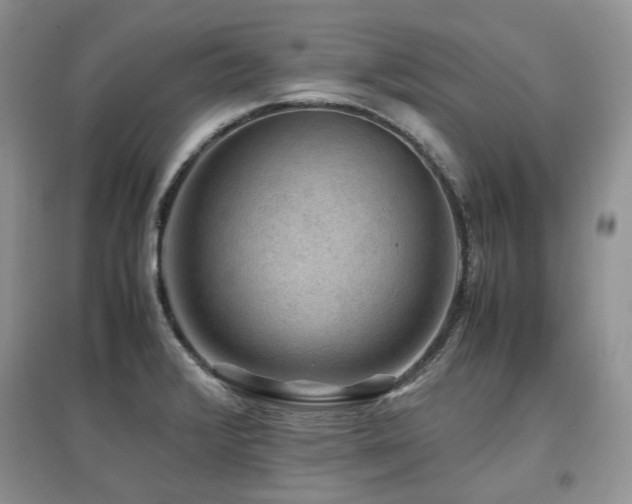 X0000097841376200803141158