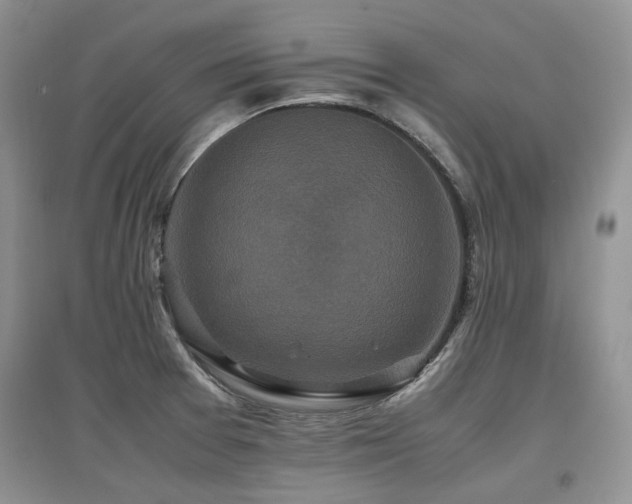 X0000097841377200803141158
