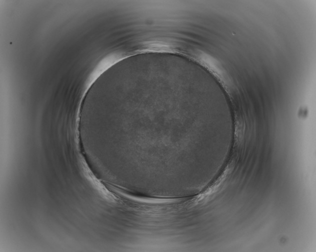 X0000097841378200803141158