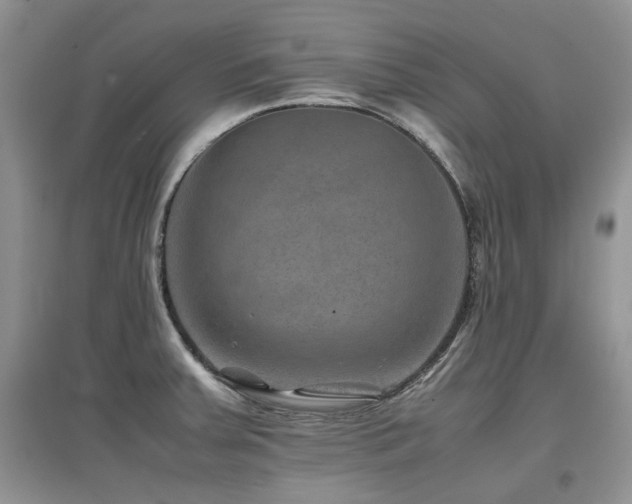 X0000097841379200803141158