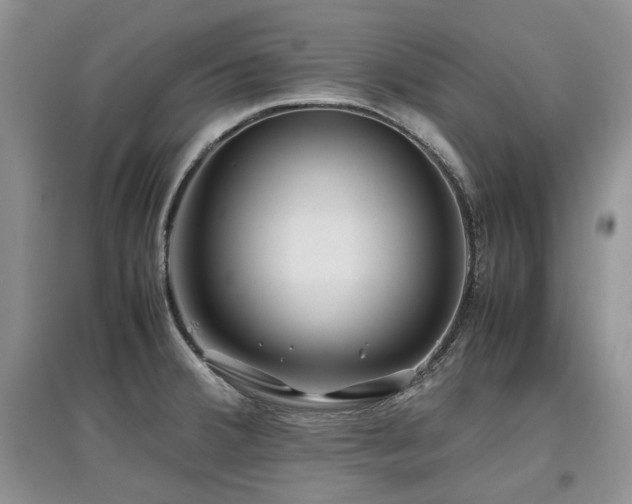 X0000097841380200803141158