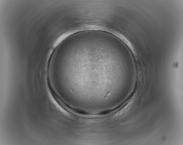 X0000097841381200803141158