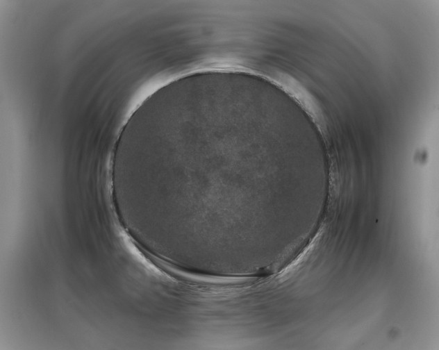 X0000097841382200803141158