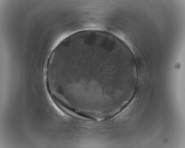 X0000097841383200803141158