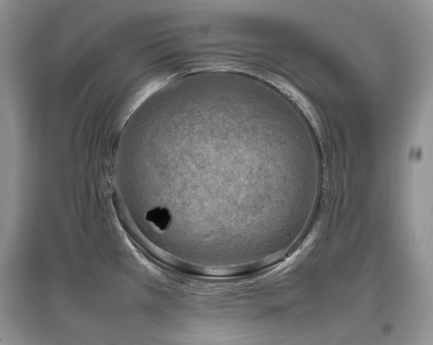 X0000097841385200803141158