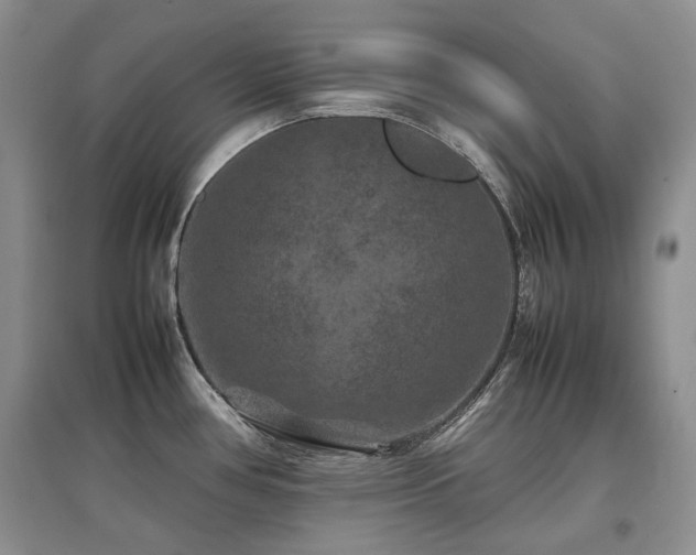 X0000097841386200803141158