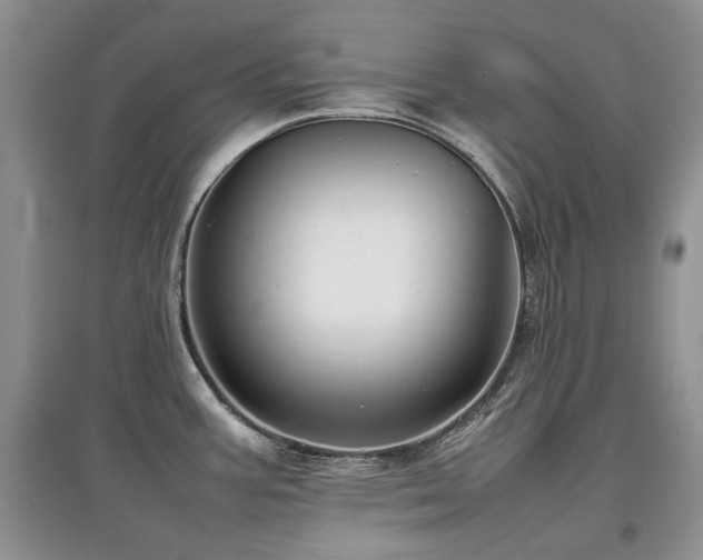 X0000097841387200803141158