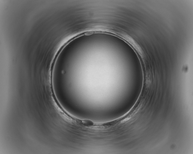 X0000097841388200803141158