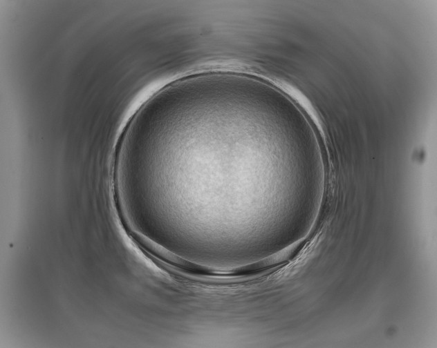 X0000097841389200803141158