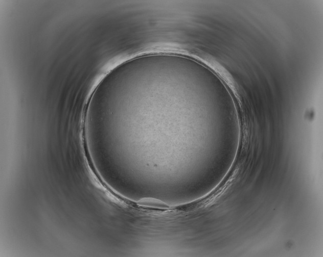 X0000097841390200803141158
