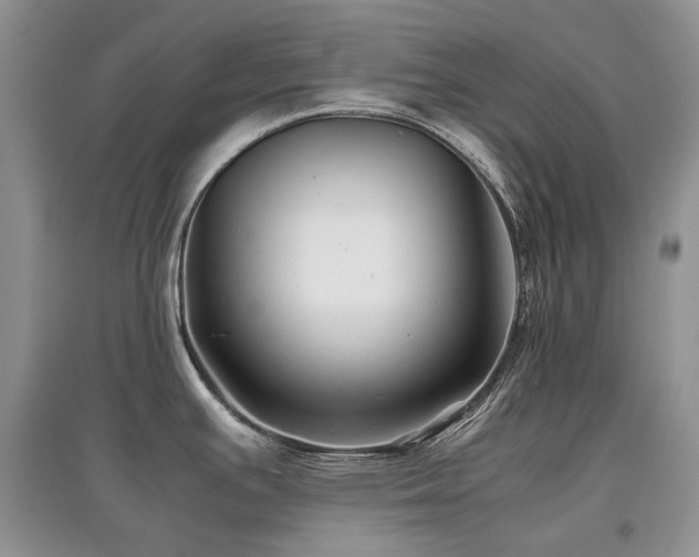X0000097841391200803141158