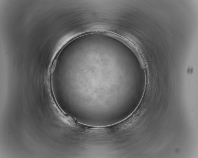 X0000097841392200803141158