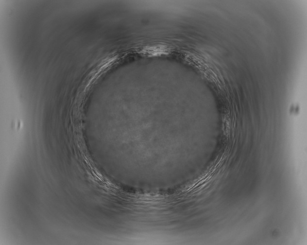 X0000097841393200803141157