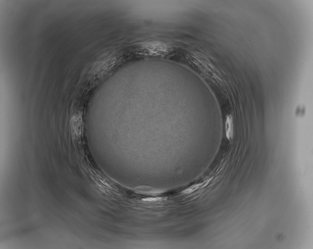 X0000097841395200803141157