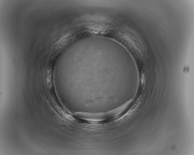 X0000097841396200803141157