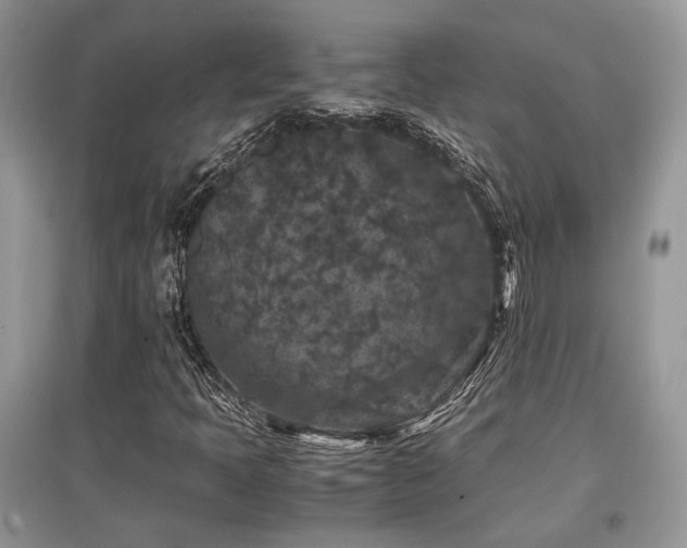 X0000097841397200803141157