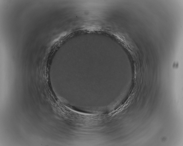 X0000097841398200803141157